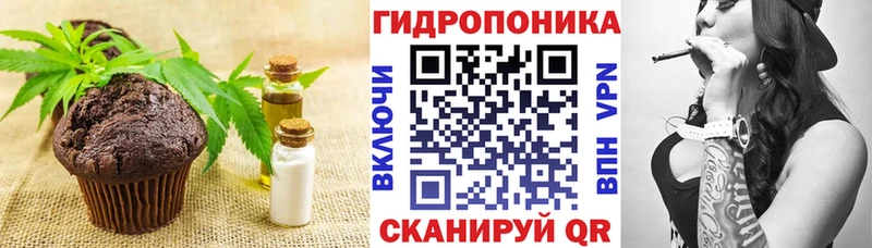 Canna-Cookies конопля  даркнет формула  Бобров  kraken ТОР 
