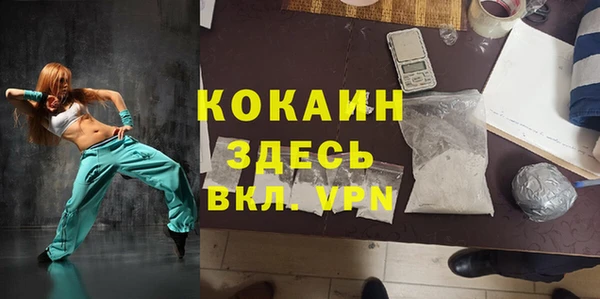 прущие грибы Балабаново